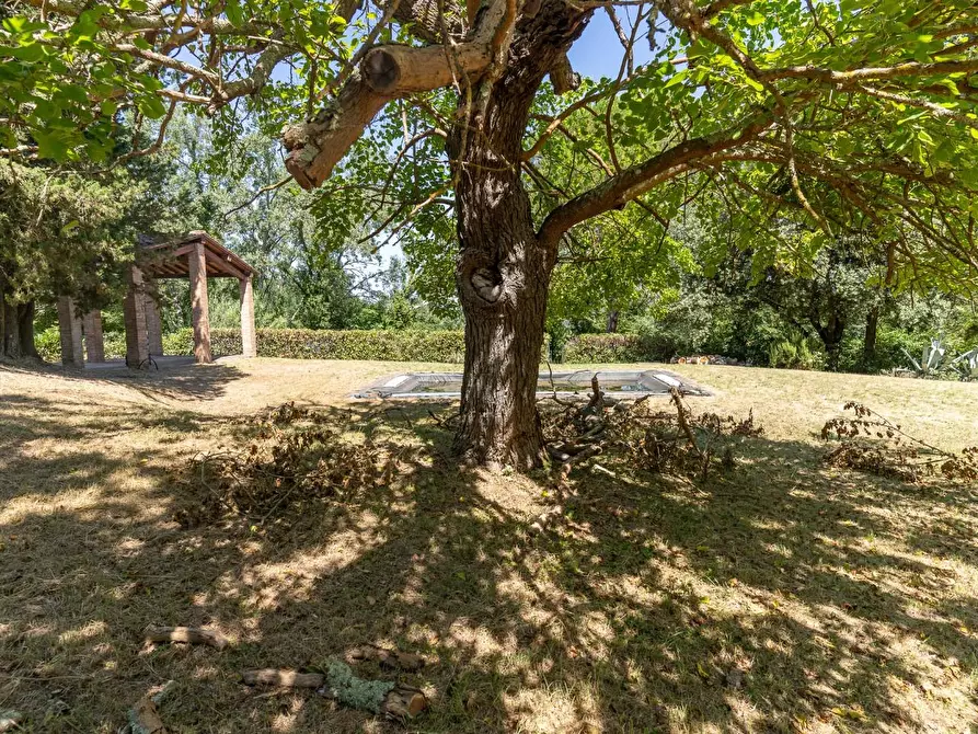Immagine 57 di Villa in vendita  a Palaia