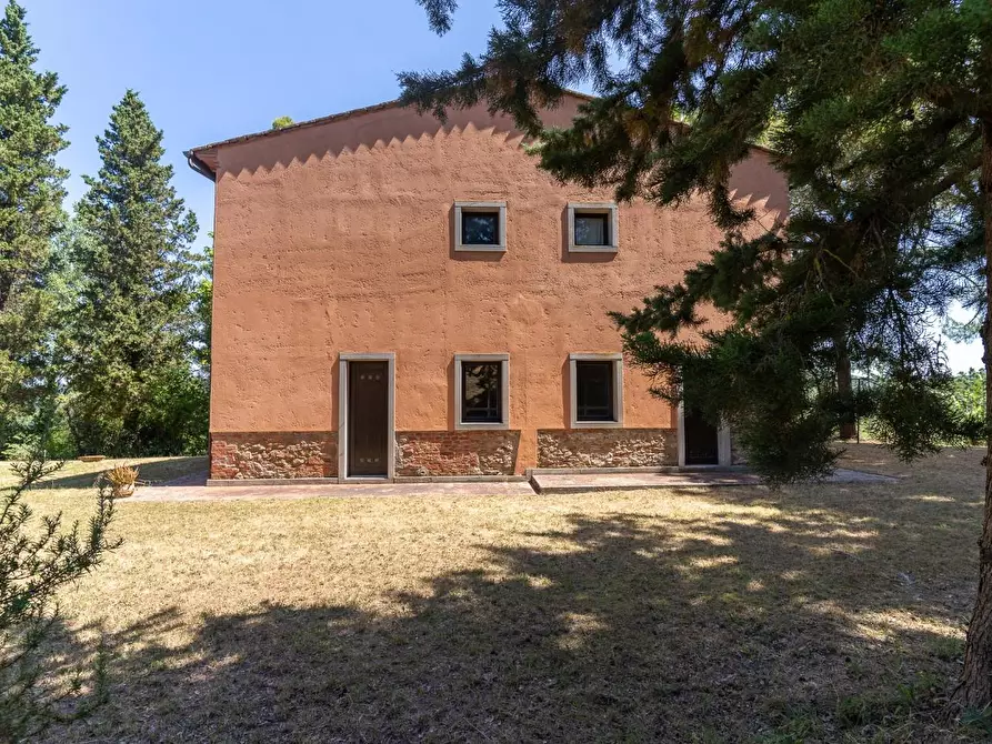 Immagine 8 di Villa in vendita  a Palaia