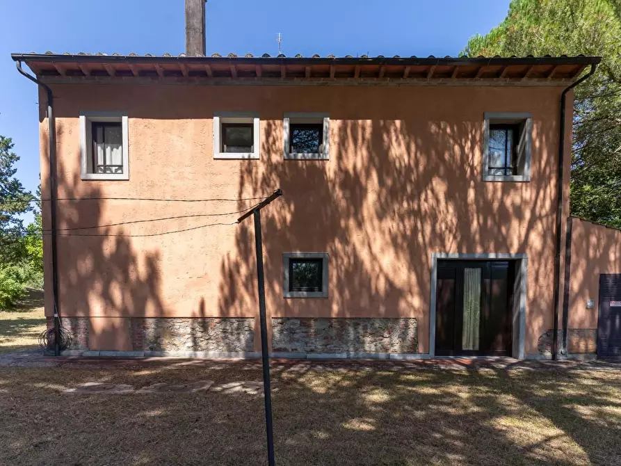 Immagine 60 di Villa in vendita  a Palaia