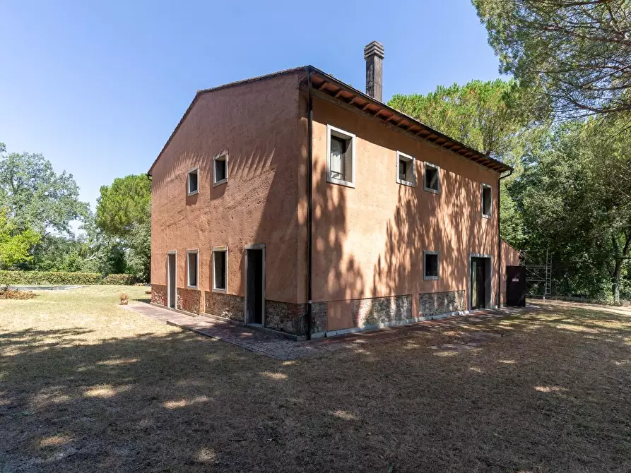 Immagine 10 di Villa in vendita  a Palaia