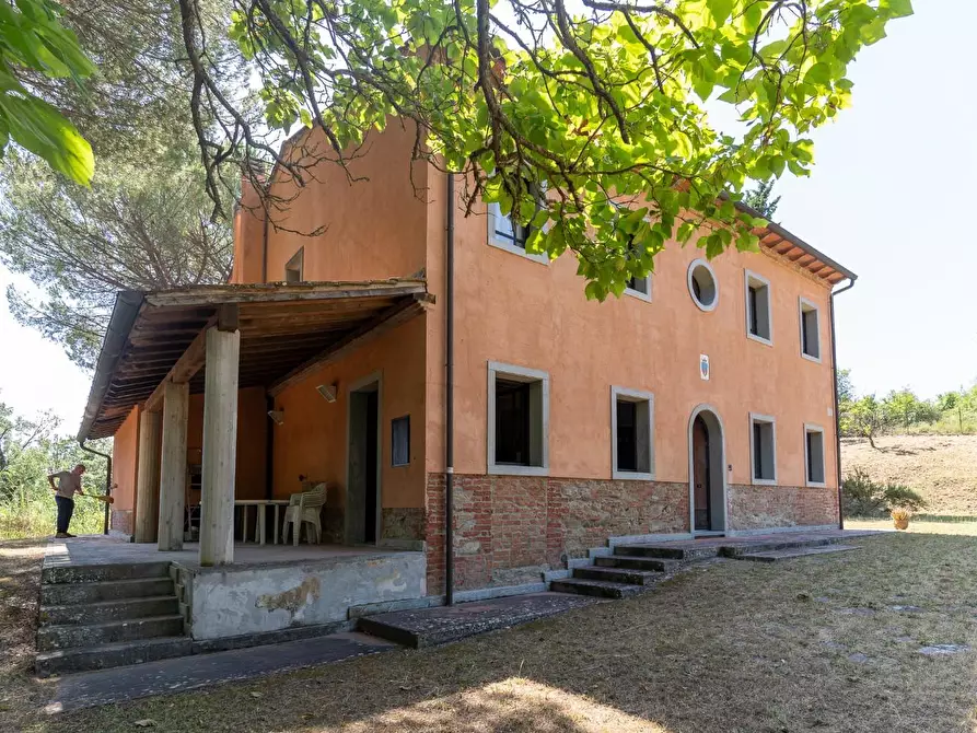 Immagine 18 di Villa in vendita  a Palaia