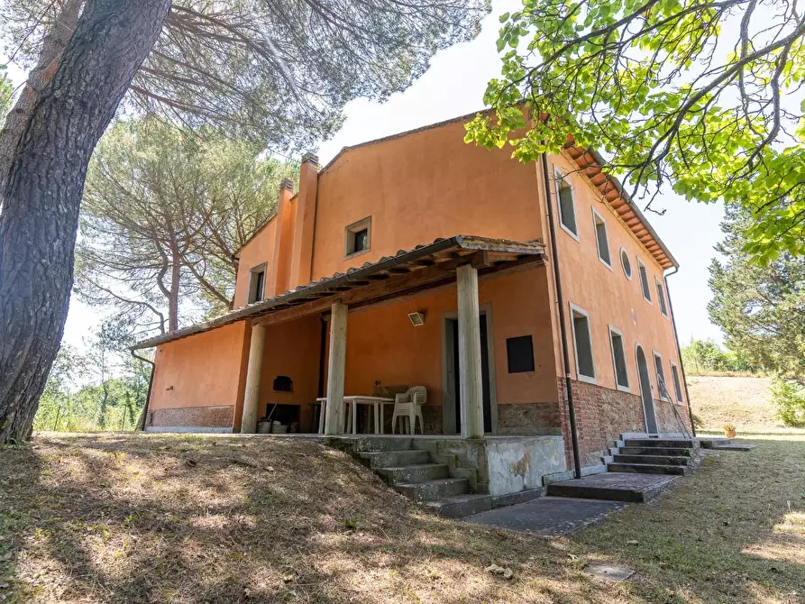Immagine 17 di Villa in vendita  a Palaia