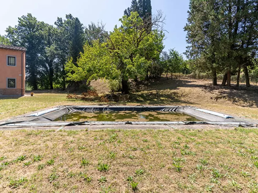 Immagine 5 di Villa in vendita  a Palaia