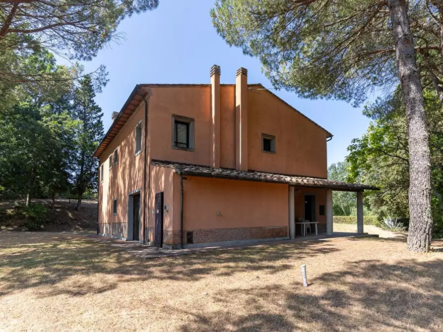 Immagine 15 di Villa in vendita  a Palaia