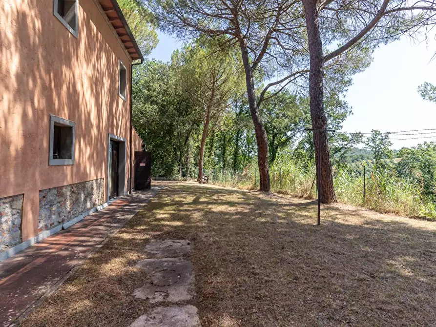 Immagine 11 di Villa in vendita  a Palaia