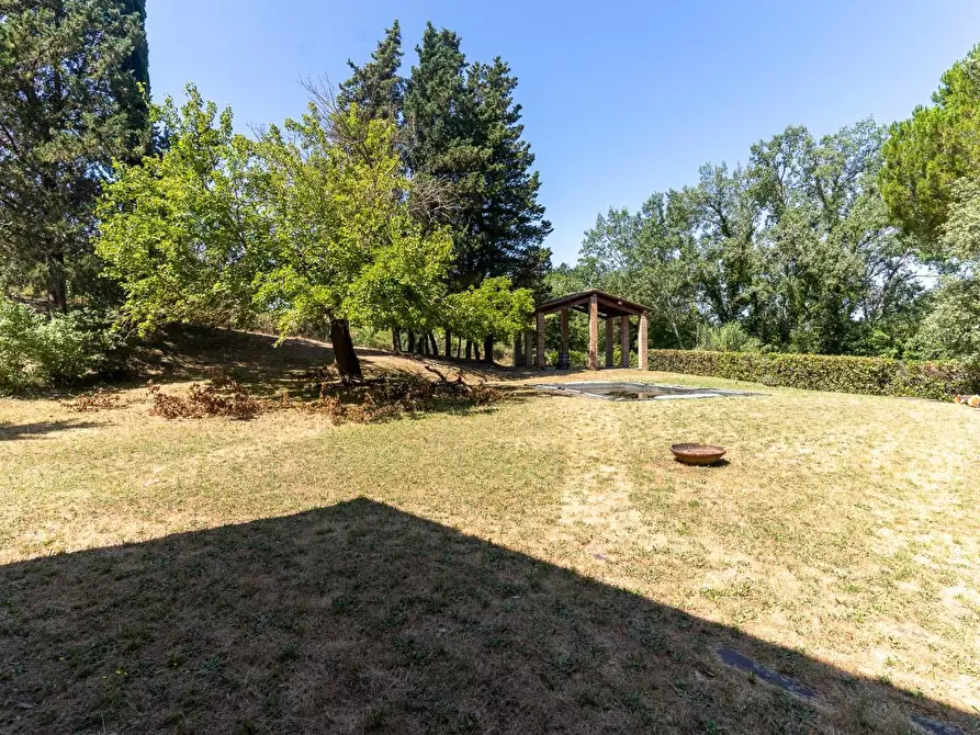 Immagine 20 di Villa in vendita  a Palaia