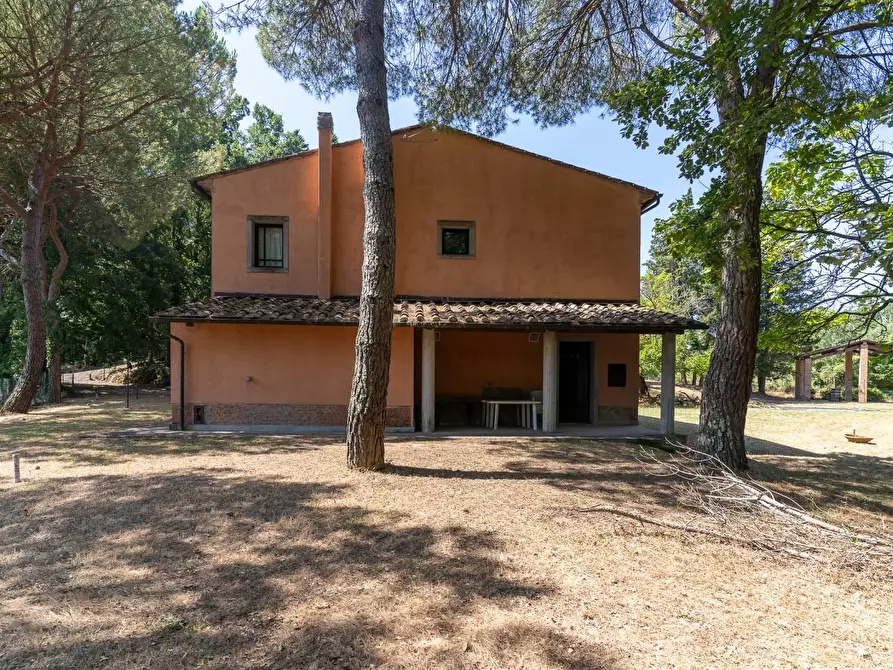 Immagine 16 di Villa in vendita  a Palaia