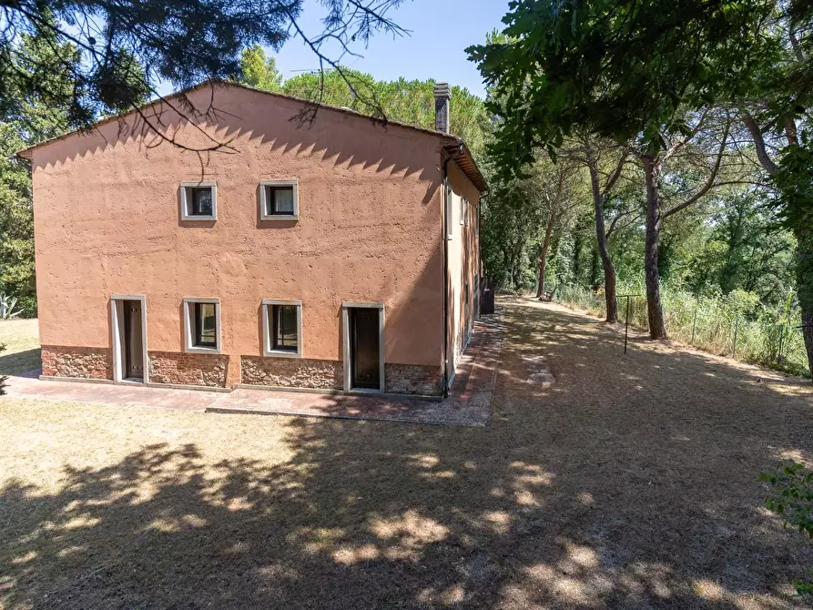 Immagine 9 di Villa in vendita  a Palaia