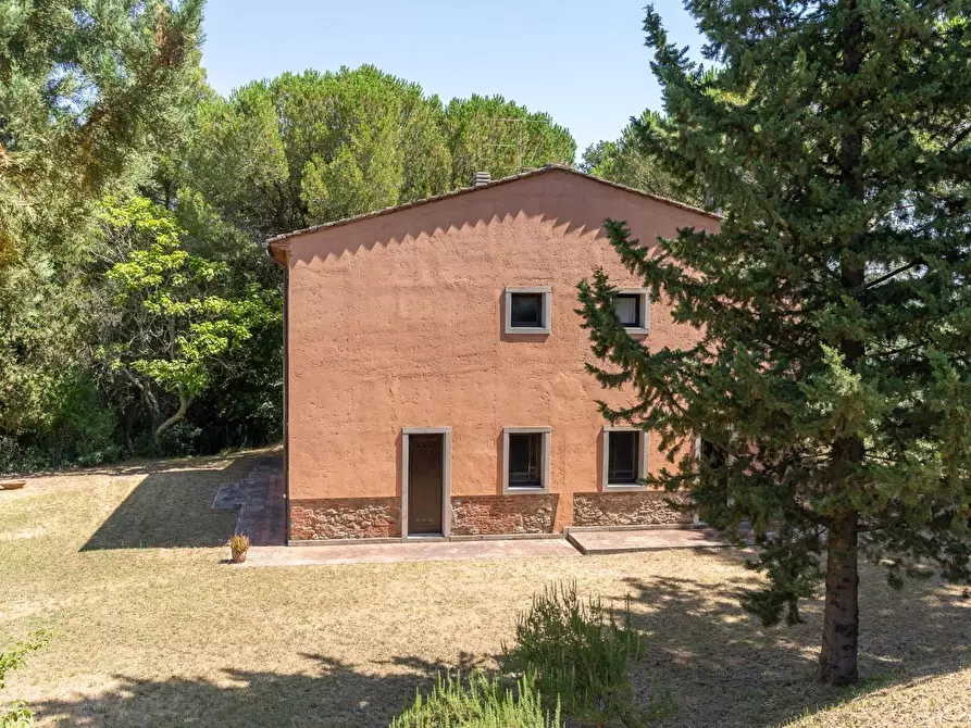 Immagine 64 di Villa in vendita  a Palaia