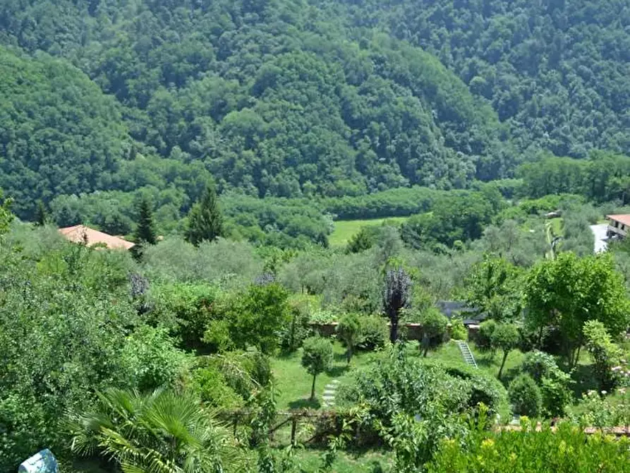 Immagine 21 di Terratetto in vendita  a Pescia