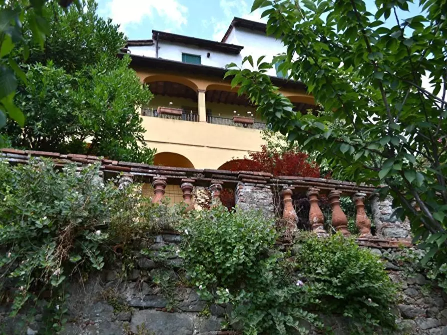 Immagine 2 di Terratetto in vendita  a Pescia