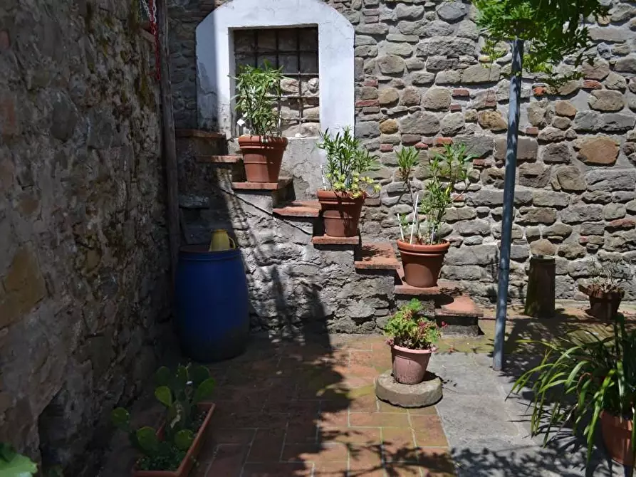 Immagine 15 di Terratetto in vendita  a Pescia