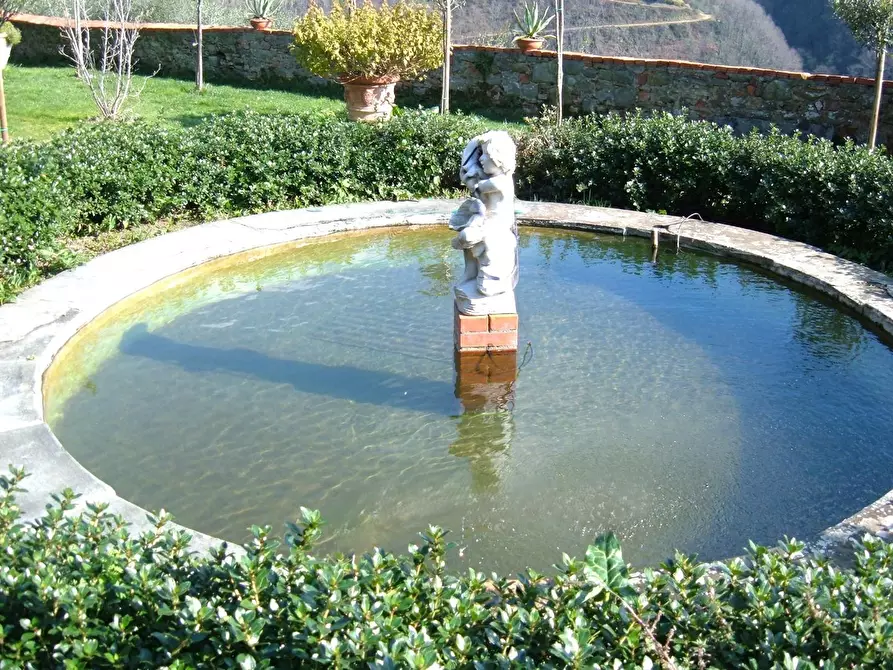 Immagine 6 di Terratetto in vendita  a Pescia