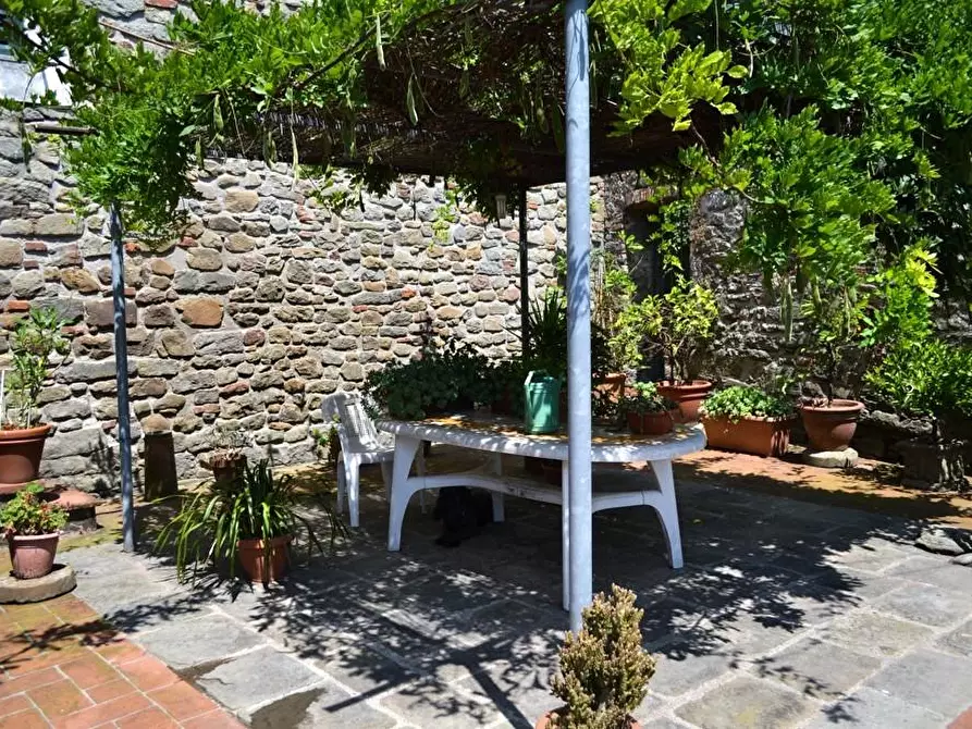 Immagine 4 di Terratetto in vendita  a Pescia