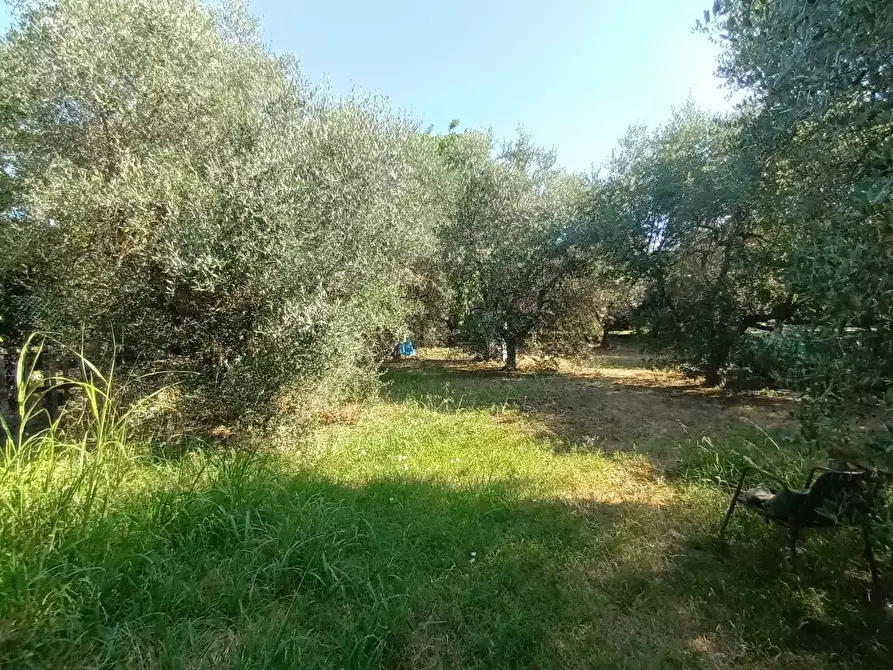 Immagine 24 di Villa in vendita  a Lucca