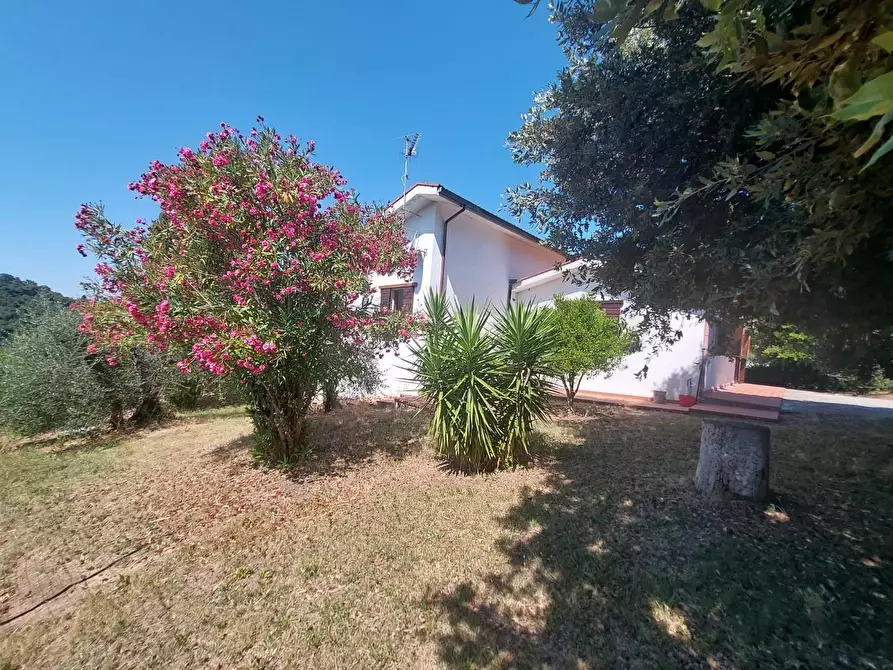 Immagine 5 di Casa indipendente in vendita  a Pontedera