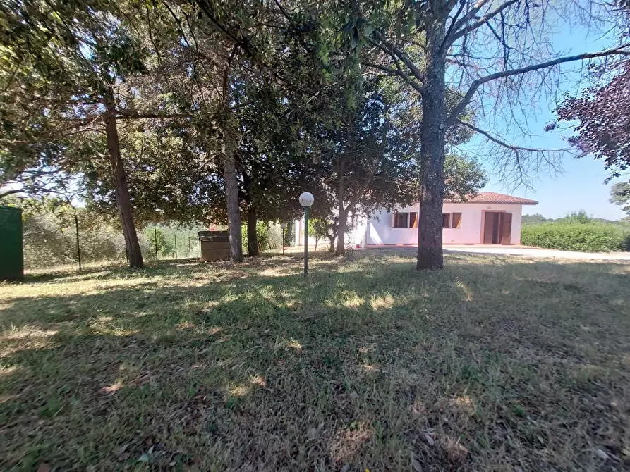 Immagine 3 di Casa indipendente in vendita  a Pontedera