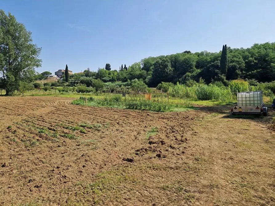 Immagine 2 di Terreno agricolo in vendita  a Casciana Terme Lari