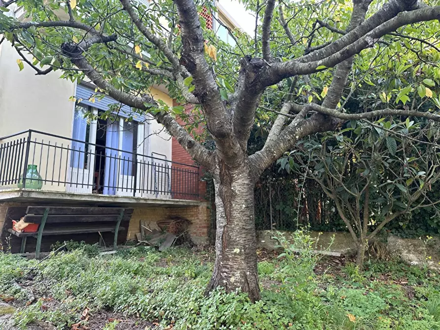 Immagine 31 di Casa bifamiliare in vendita  a Massarosa