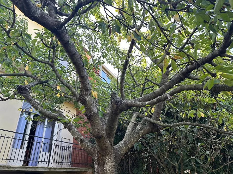 Immagine 30 di Casa bifamiliare in vendita  a Massarosa