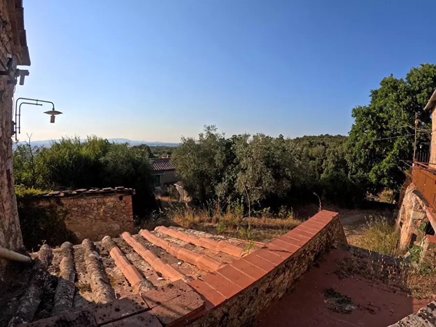 Immagine 8 di Rustico / casale in vendita  a Casole D'elsa