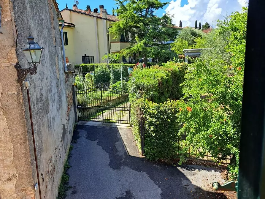 Immagine 19 di Appartamento in vendita  a Peccioli