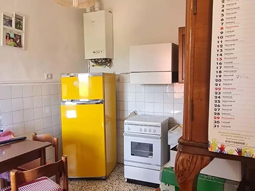 Immagine 5 di Appartamento in vendita  a Peccioli