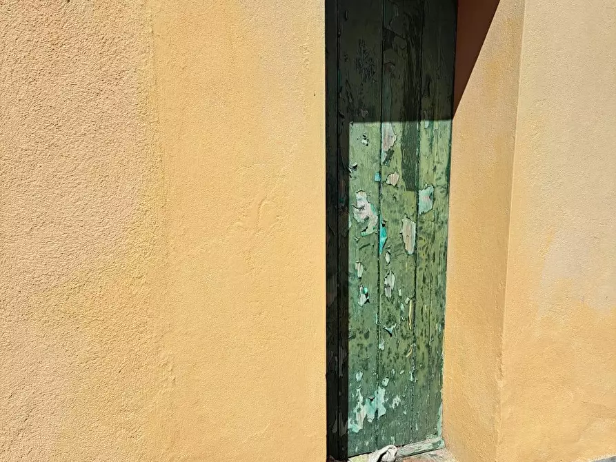 Immagine 12 di Appartamento in vendita  a Peccioli