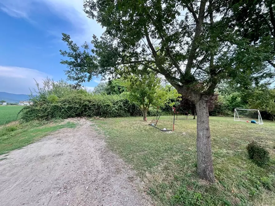 Immagine 1 di Terreno agricolo in vendita  a San Giuliano Terme