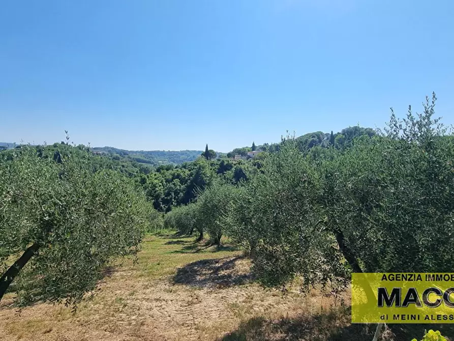 Immagine 1 di Terreno agricolo in vendita  a Casciana Terme Lari