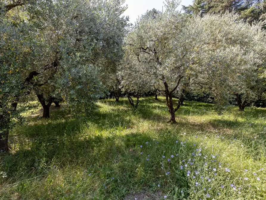 Immagine 26 di Villa in vendita  a Camaiore