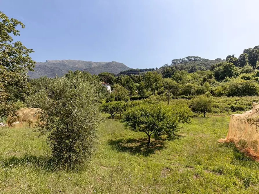 Immagine 25 di Villa in vendita  a Camaiore