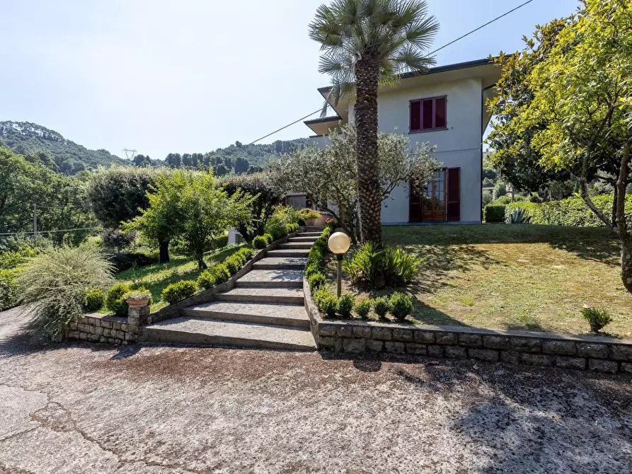 Immagine 2 di Villa in vendita  a Camaiore