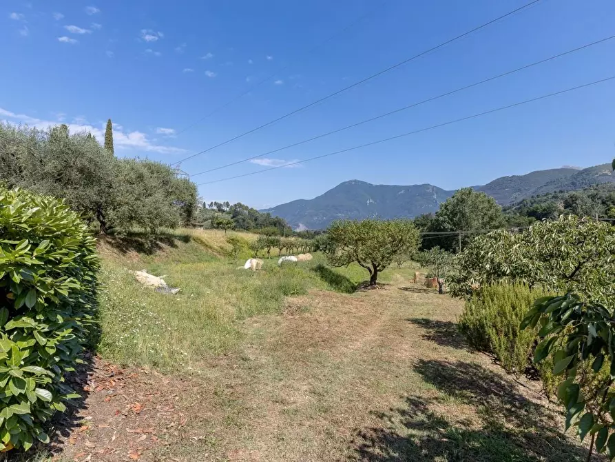 Immagine 27 di Villa in vendita  a Camaiore