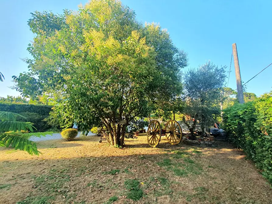 Immagine 63 di Villa in vendita  a Lucca