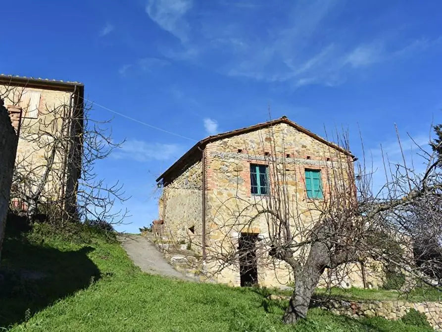 Immagine 4 di Rustico / casale in vendita  a San Gimignano