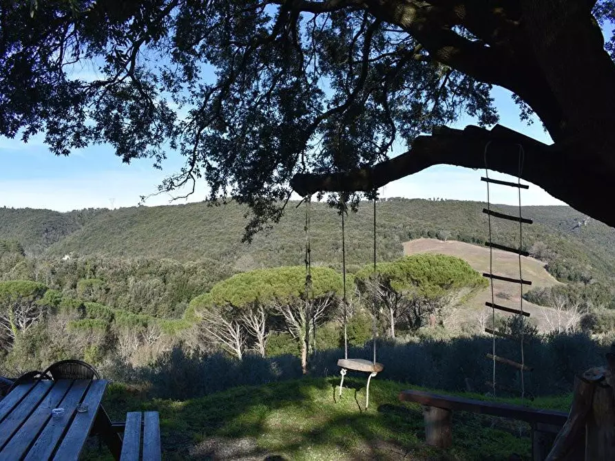 Immagine 15 di Rustico / casale in vendita  a San Gimignano