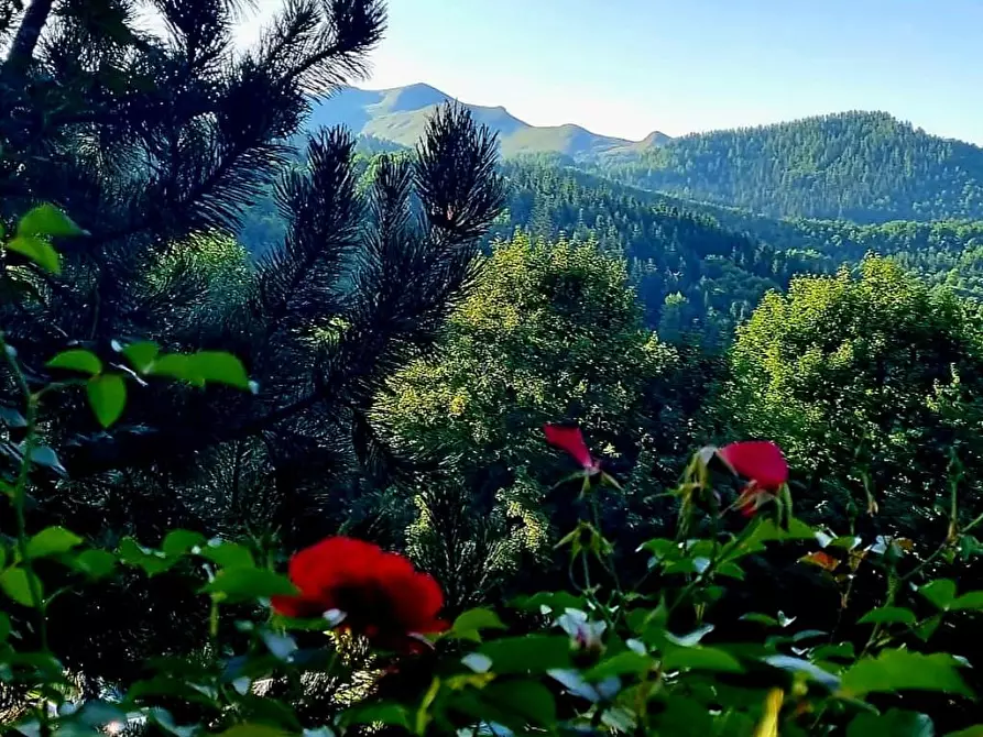 Immagine 18 di Baita in vendita  a Fiumalbo