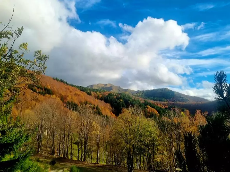 Immagine 14 di Baita in vendita  a Fiumalbo