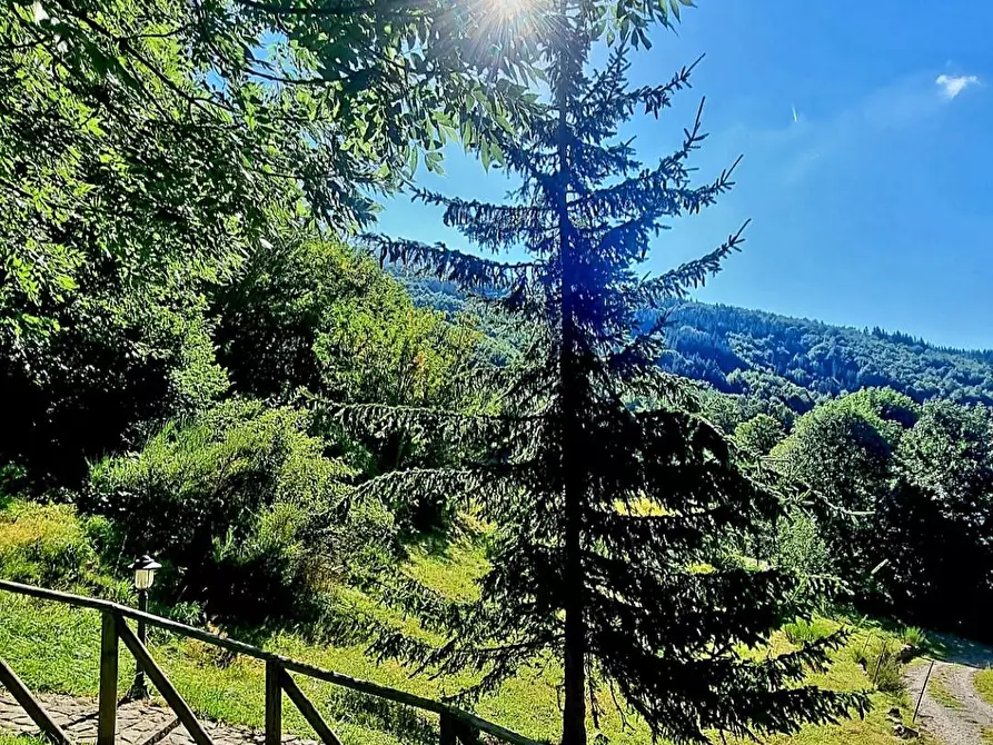 Immagine 21 di Baita in vendita  a Fiumalbo