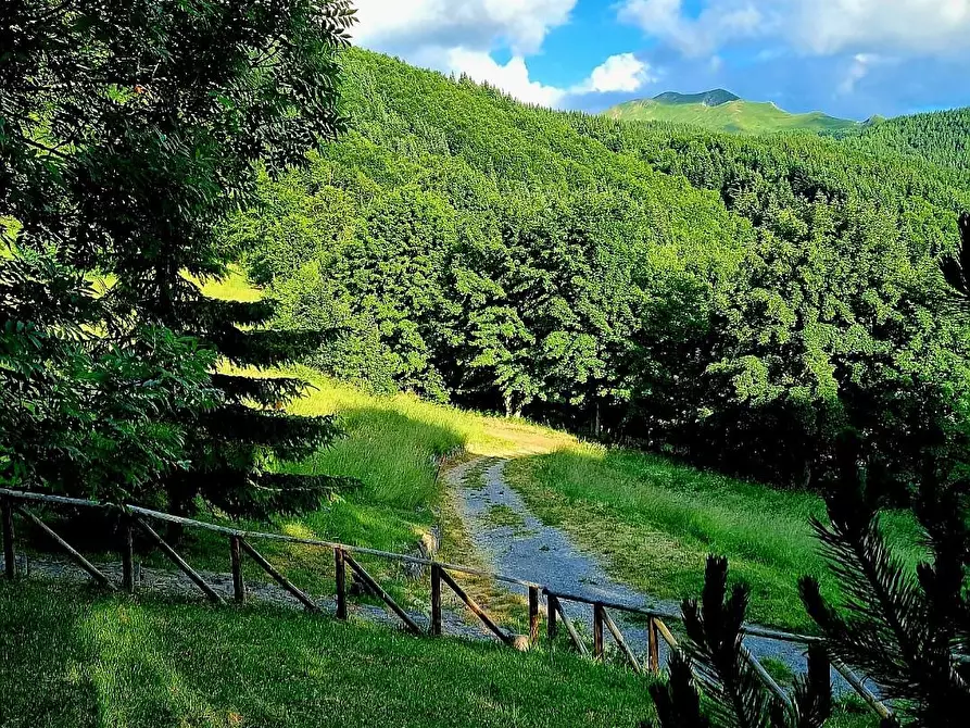 Immagine 17 di Baita in vendita  a Fiumalbo