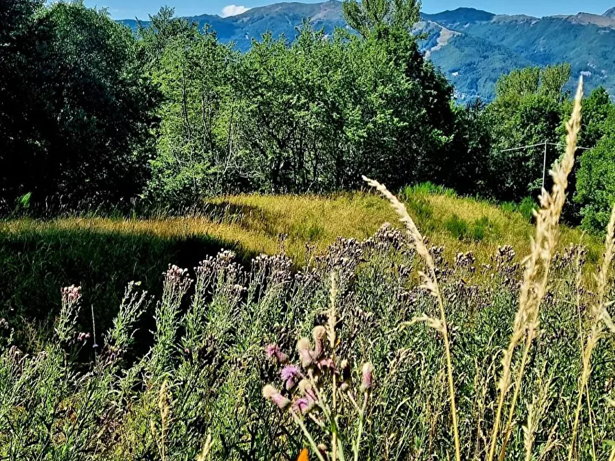 Immagine 13 di Baita in vendita  a Fiumalbo