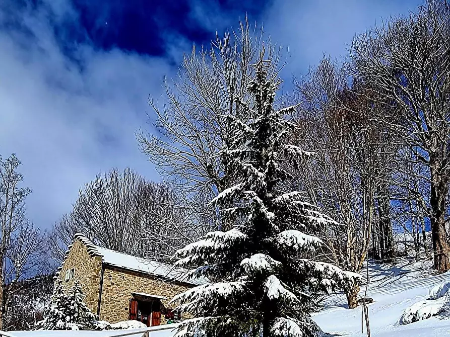 Immagine 32 di Baita in vendita  a Fiumalbo