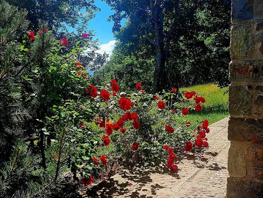 Immagine 27 di Baita in vendita  a Fiumalbo