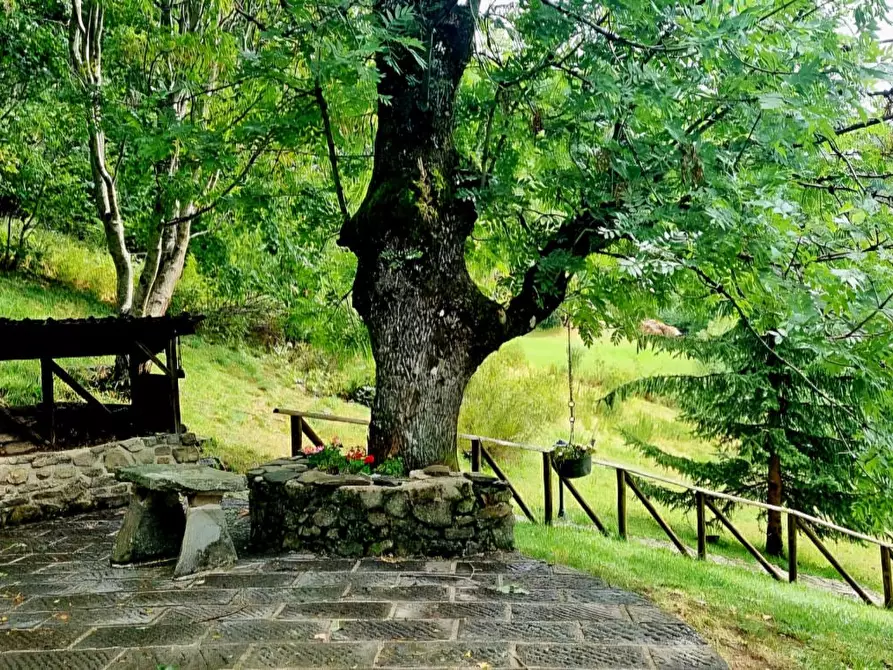 Immagine 24 di Baita in vendita  a Fiumalbo