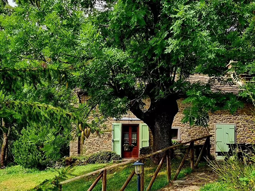 Immagine 22 di Baita in vendita  a Fiumalbo