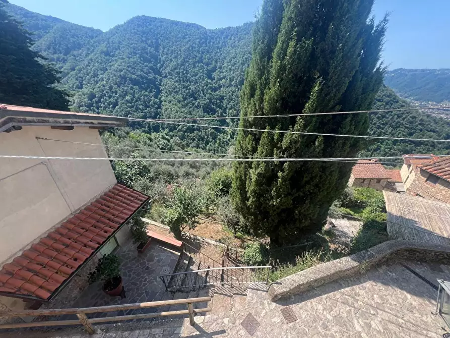 Immagine 17 di Casa semindipendente in vendita  a Camaiore