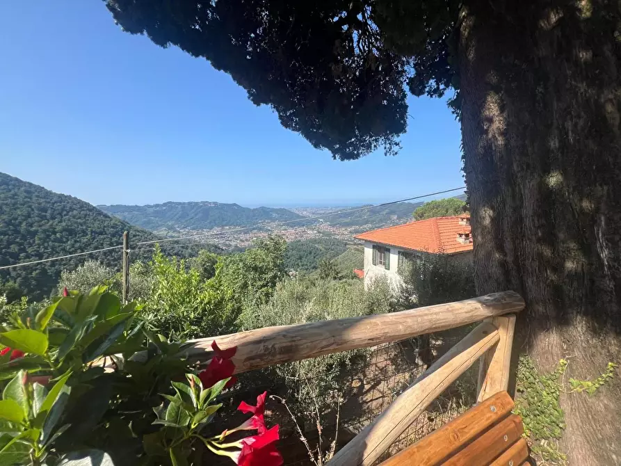 Immagine 35 di Casa semindipendente in vendita  a Camaiore