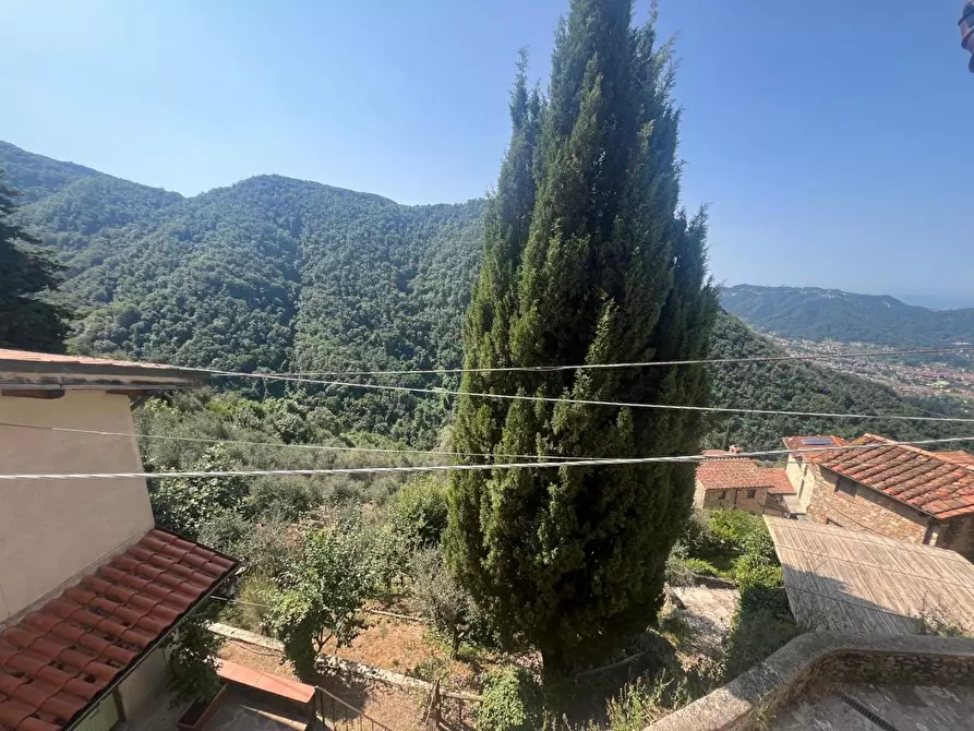 Immagine 18 di Casa semindipendente in vendita  a Camaiore