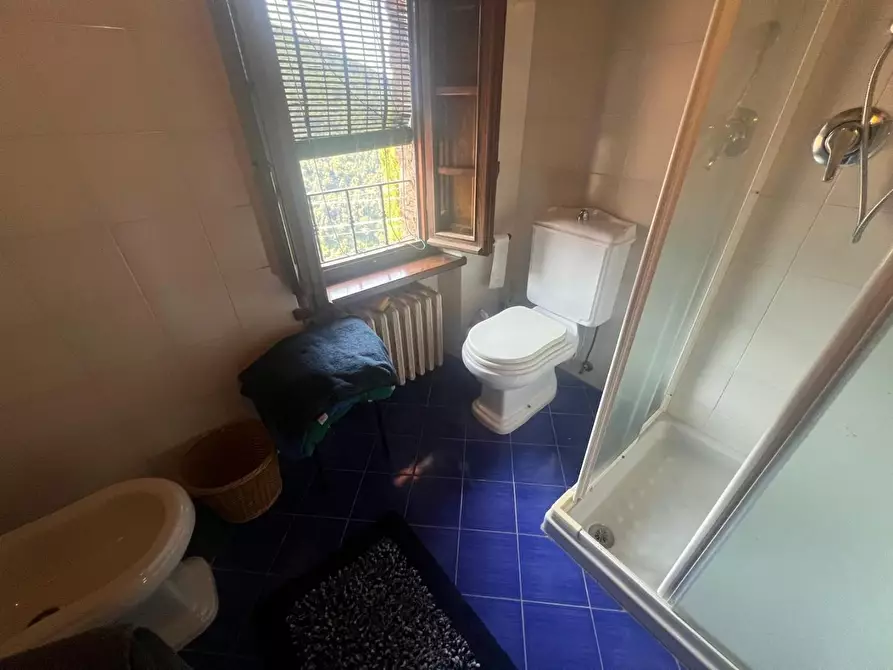 Immagine 23 di Casa semindipendente in vendita  a Camaiore